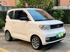 Wuling Hongguang MINIEV Delightful Edition LFP - ფოტო 3