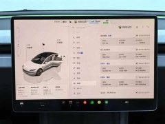 Tesla Model 3 2023 Long Range All-Wheel Drive - ფოტო 6
