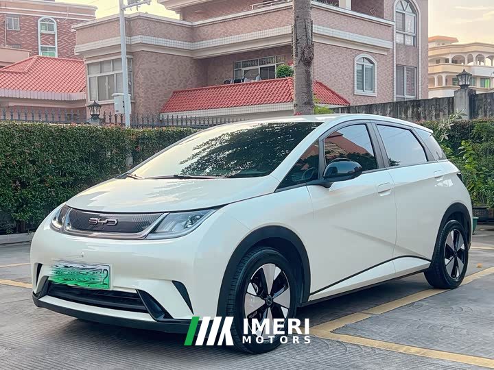 BYD Dolphin 420km Freedom Edition - ავტომობილი ჩინეთიდან