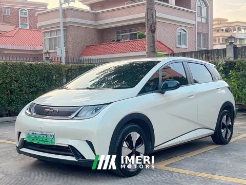 2023 BYD Dolphin 420km Freedom Edition - ავტომობილი ჩინეთიდან