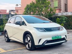 BYD Dolphin 420km Freedom Edition - ფოტო 3