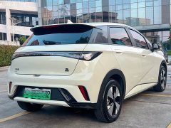 BYD Dolphin 420km Freedom Edition - ფოტო 4