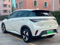 BYD Dolphin 420km Freedom Edition - ფოტო 6