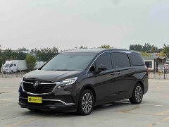 Buick GL8 ES Land Respect 653T Luxury - ფოტო 1