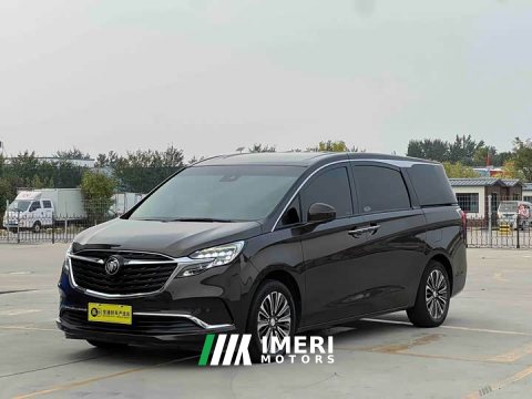 2021 Buick GL8 ES Land Respect 653T Luxury - ავტომობილი ჩინეთიდან