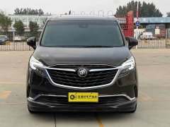 Buick GL8 ES Land Respect 653T Luxury - ფოტო 2