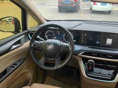 Buick GL8 ES Land Respect 653T Luxury - ფოტო 6