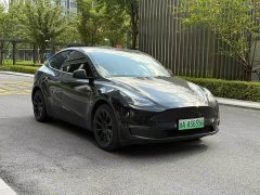 Tesla Model Y Standard Range RWD - ფოტო 1