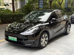 Tesla Model Y Long Range All-Wheel Drive - ფოტო 1