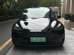 Tesla Model Y Long Range All-Wheel Drive - ფოტო 2