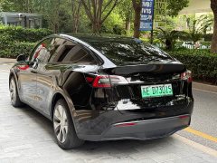 Tesla Model Y Long Range All-Wheel Drive - ფოტო 5