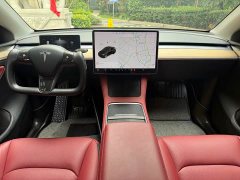 Tesla Model Y Long Range All-Wheel Drive - ფოტო 8
