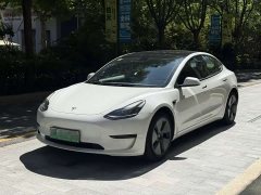Tesla Model 3 Standard Range RWD Upgrade - ფოტო 1