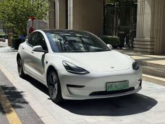 Tesla Model 3 Standard Range RWD Upgrade - ფოტო 2
