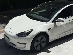 Tesla Model 3 Standard Range RWD Upgrade - ფოტო 4