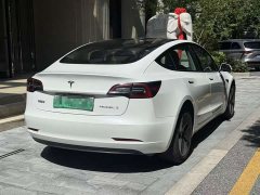 Tesla Model 3 Standard Range RWD Upgrade - ფოტო 5