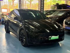 Tesla Model Y 2023 Rear-Wheel Drive - ფოტო 2