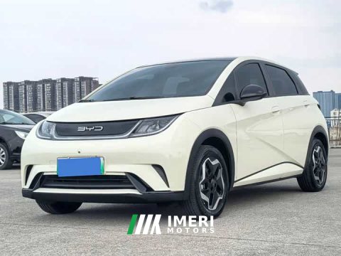 2022 BYD Dolphin 405km Fashion Edition - ავტომობილი ჩინეთიდან