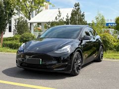 Tesla Model Y Performance All-Wheel Drive - ფოტო 1