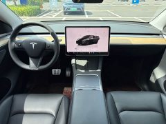 Tesla Model Y Performance All-Wheel Drive - ფოტო 10