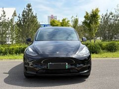 Tesla Model Y Performance All-Wheel Drive - ფოტო 2