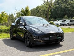 Tesla Model Y Performance All-Wheel Drive - ფოტო 3