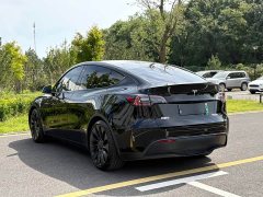 Tesla Model Y Performance All-Wheel Drive - ფოტო 6