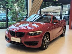 BMW 2 Series (Imported) 2019 225i Convertible Sports Design Package - ფოტო 1