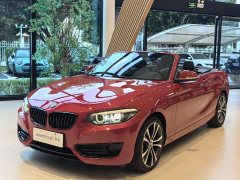 BMW 2 Series (Imported) 2019 225i Convertible Sports Design Package - ფოტო 3