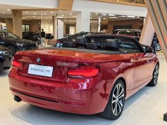BMW 2 Series (Imported) 2019 225i Convertible Sports Design Package - ფოტო 5