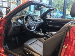 BMW 2 Series (Imported) 2019 225i Convertible Sports Design Package - ფოტო 7