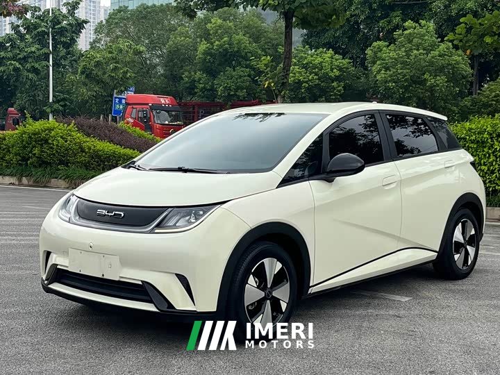 BYD Dolphin 420km Freedom Edition - ავტომობილი ჩინეთიდან