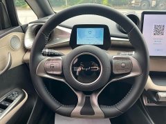 BYD Dolphin 420km Freedom Edition - ფოტო 14
