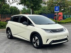BYD Dolphin 420km Freedom Edition - ფოტო 2