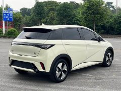 BYD Dolphin 420km Freedom Edition - ფოტო 4