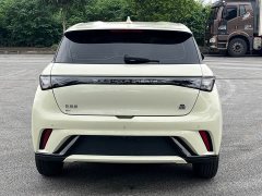 BYD Dolphin 420km Freedom Edition - ფოტო 5