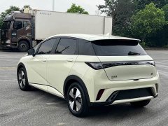 BYD Dolphin 420km Freedom Edition - ფოტო 6