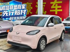 Wuling Binguo 2023 333km Lingxi Connected Plus - ფოტო 1