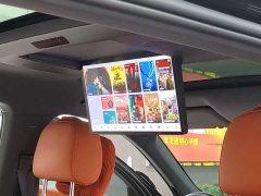 Li Auto L9 Max - ფოტო 12