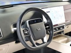 Li Auto L9 Max - ფოტო 12