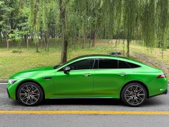 Mercedes-Benz AMG GT AMG GT 50 Four-Door Coupe China Special Edition - ფოტო 8