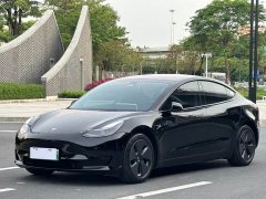 Tesla Model 3 2022 Rear-Wheel Drive - ფოტო 1