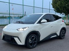 BYD Seagull Freedom Edition - ფოტო 1