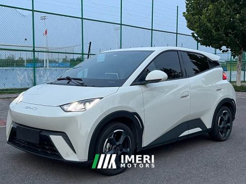 2023 BYD Seagull Freedom Edition - ავტომობილი ჩინეთიდან