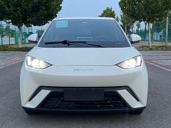 BYD Seagull Freedom Edition - ფოტო 2