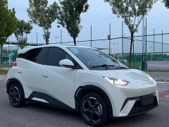 BYD Seagull Freedom Edition - ფოტო 3