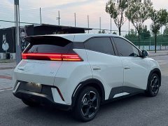 BYD Seagull Freedom Edition - ფოტო 6