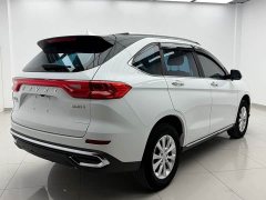 Haval M6 2021 PLUS 1.5T DCT Luxury Smart Connected Edition - ფოტო 6
