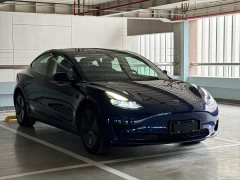 Tesla Model 3 Standard Range RWD Upgrade - ფოტო 3