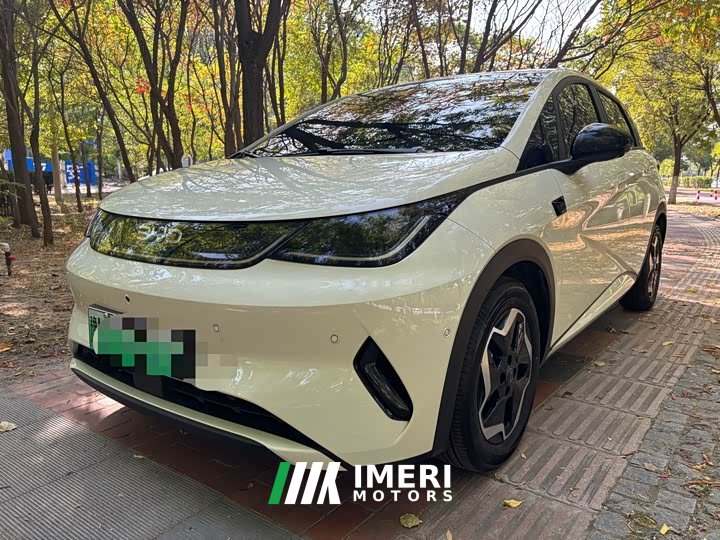 BYD Dolphin 2025 Smart Drive 420km Freedom Edition - ავტომობილი ჩინეთიდან